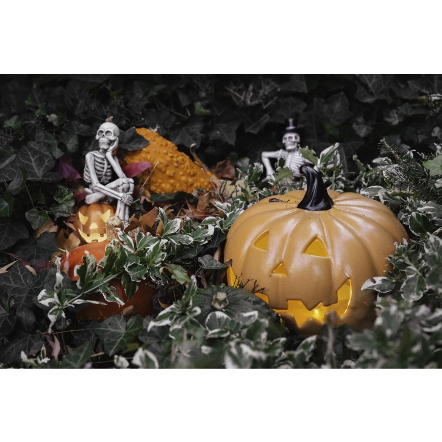LED Kaunistus HALLOWEEN LED/2xLR44/soe valge luukere kõrvitsa sees vaik
