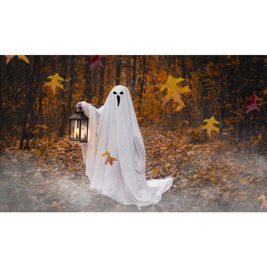 LED Kaunistus HALLOWEEN LED/3xAAA/soe valge latern
