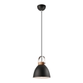 Ripats köisliinil DANIELLE 1xE27/60W/230V pöök