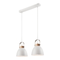 Ripats köisliinil DANIELLE 2xE27/60W/230V pöök