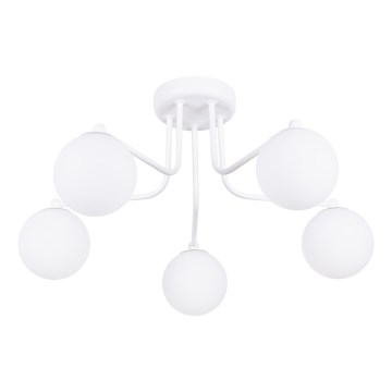 Ripplühter ASTRAL 5xG9/8W/230V valge