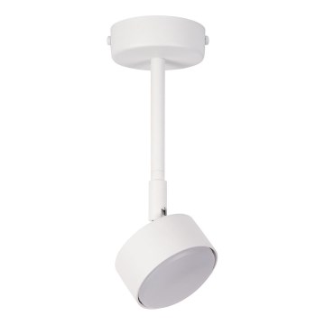 Ripplühter NEMO 1xGX53/12W/230V 24 cm valge