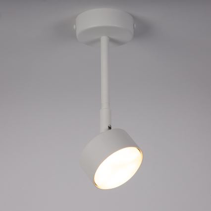 Ripplühter NEMO 1xGX53/12W/230V 24 cm valge