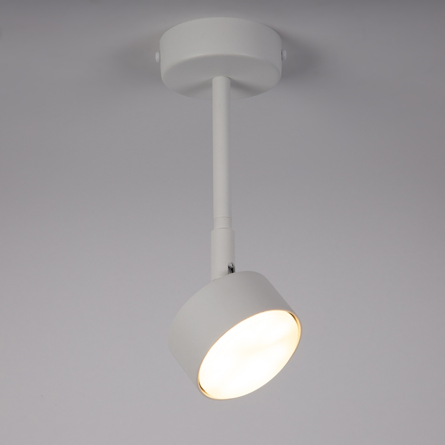 Ripplühter NEMO 1xGX53/12W/230V 24 cm valge