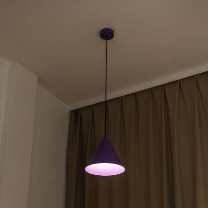 Rippvalgusti ETNA kaabliga 1xE27/15W/230V, läbimõõt 25 cm, lilla