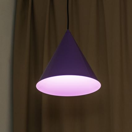 Rippvalgusti ETNA kaabliga 1xE27/15W/230V, läbimõõt 25 cm, lilla