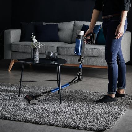 Rowenta - Kepptolmuimeja X-FORCE FLEX 250W/18V