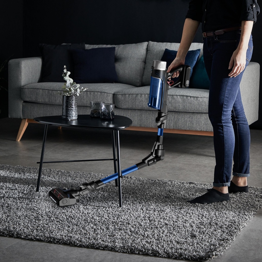 Rowenta - Kepptolmuimeja X-FORCE FLEX 250W/18V