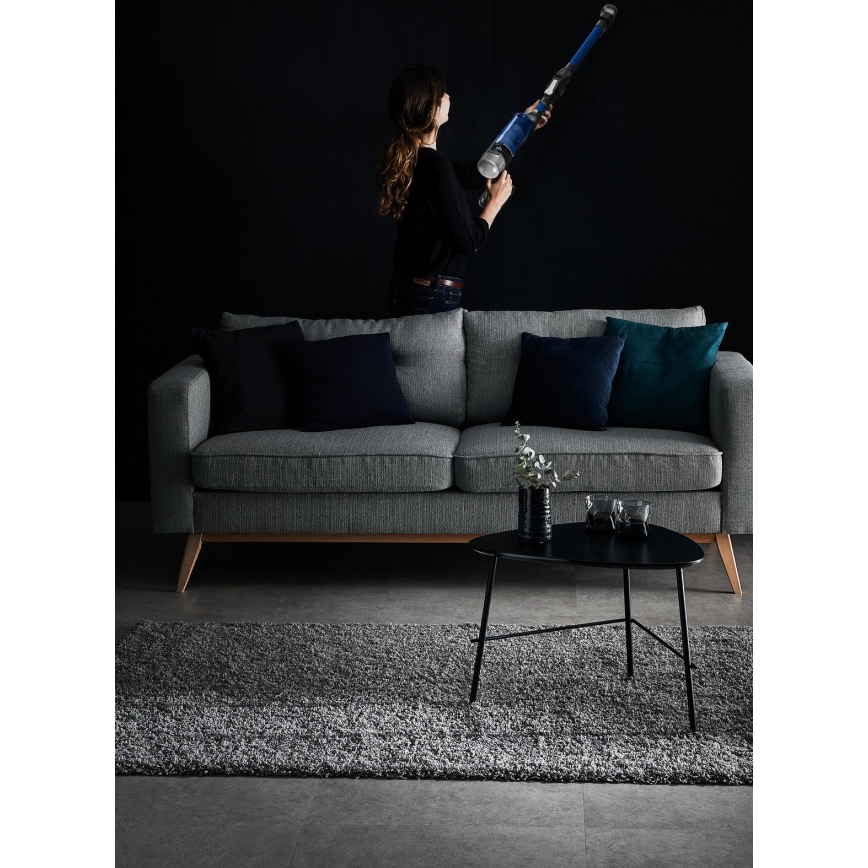 Rowenta - Kepptolmuimeja X-FORCE FLEX 250W/18V