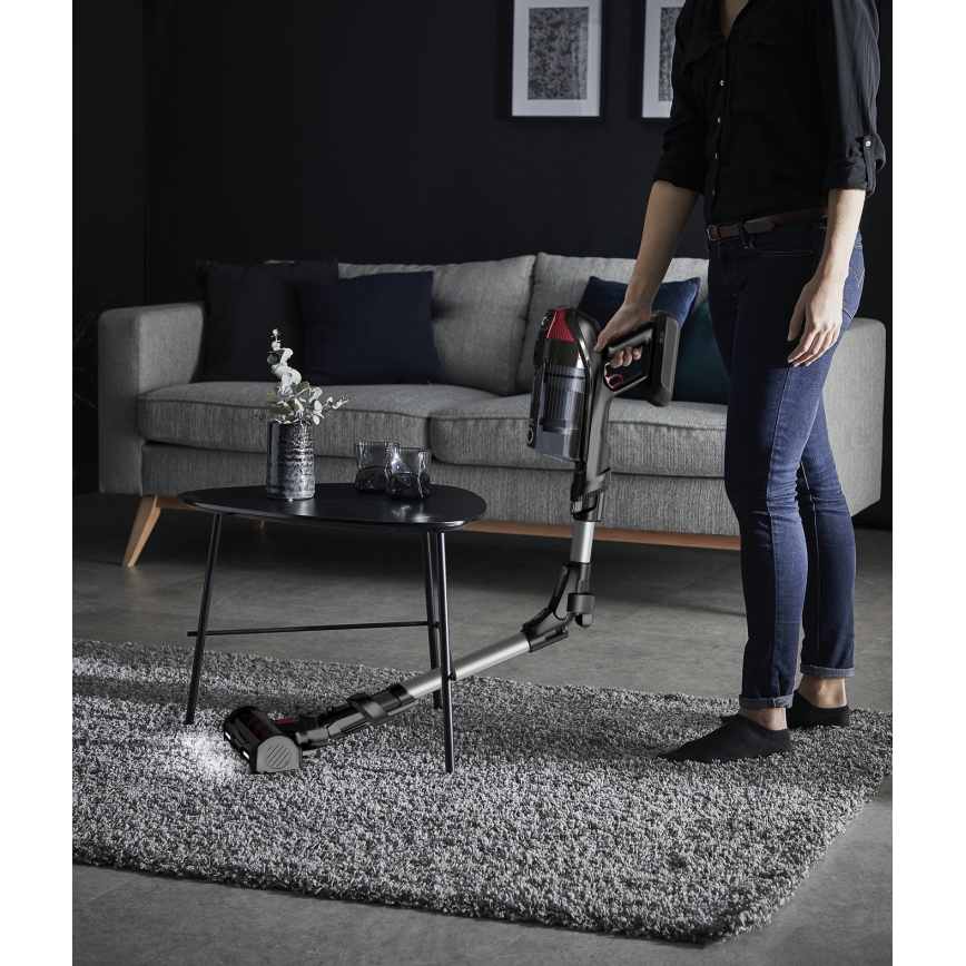 Rowenta - Kepptolmuimeja X-FORCE FLEX ANIMAL CARE 320W/25,2V must 2000 mAh