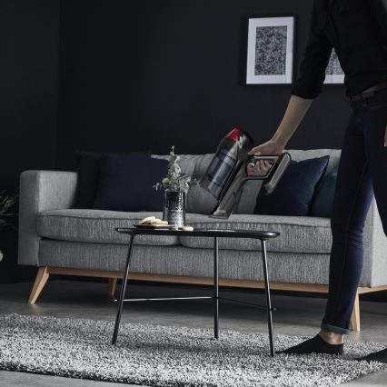 Rowenta - Kepptolmuimeja X-FORCE FLEX ANIMAL CARE 320W/25,2V must 2000 mAh