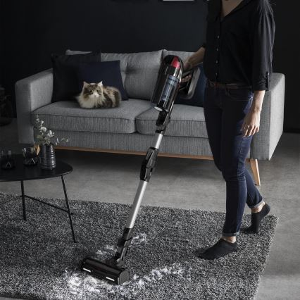 Rowenta - Kepptolmuimeja X-FORCE FLEX ANIMAL CARE 320W/25,2V must 2000 mAh