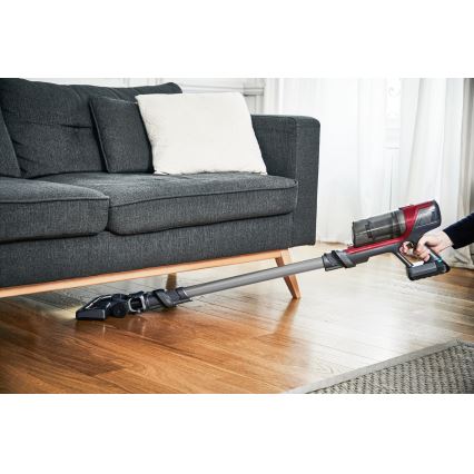 Rowenta - Varretolmuimeja X-PERT 18V