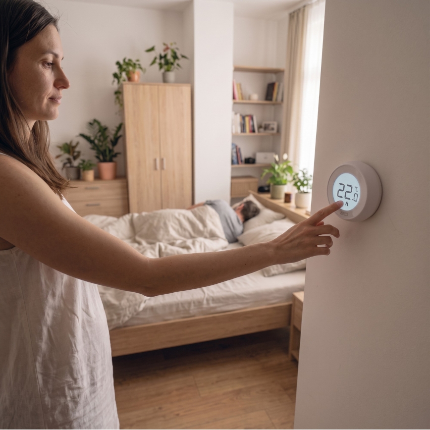 Ruumi käsitsi juhitav termostaat 230V/6A, 2×AA, valge