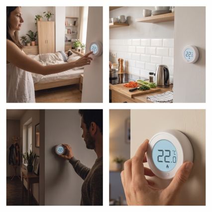Ruumi käsitsi juhitav termostaat 230V/6A, 2×AA, valge