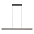 Schöner Wohnen 11316-18 - LED-hämardatav rippvalgusti kaabliga LENA LED/32W/230V 105 cm must