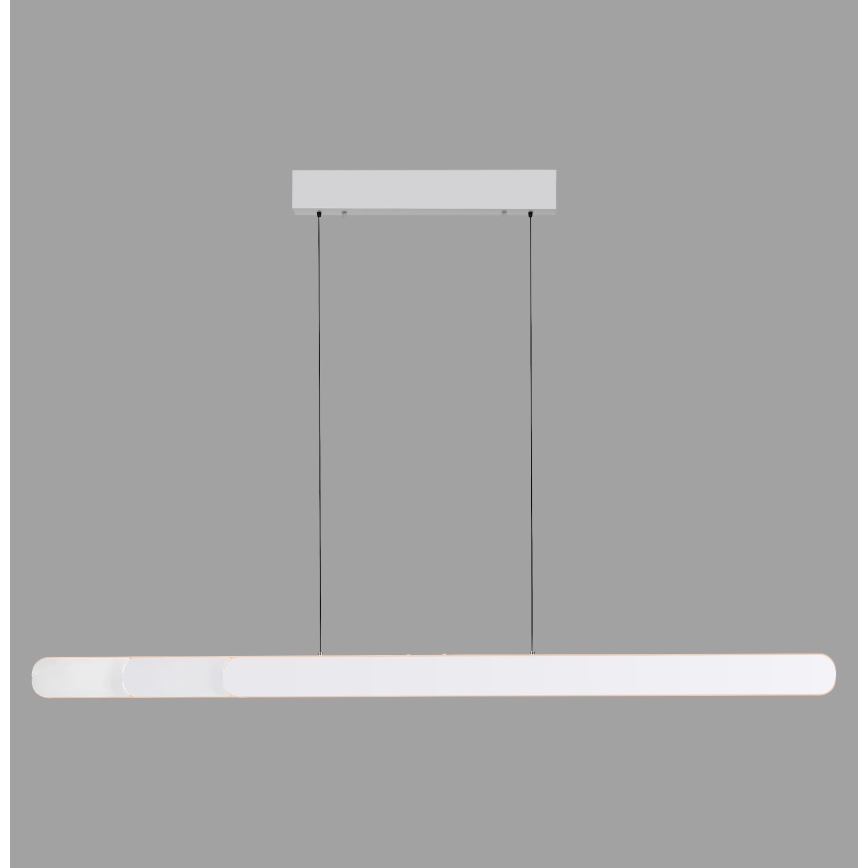 Schöner Wohnen 12577-16 - Hämardatav LED-rippvalgusti kaablil ADRIANA ROUND 2xLED/24W/230V 2700/3000/3500/4000/5000K 160 cm valge