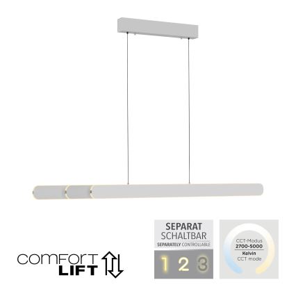 Schöner Wohnen 12577-16 - Hämardatav LED-rippvalgusti kaablil ADRIANA ROUND 2xLED/24W/230V 2700/3000/3500/4000/5000K 160 cm valge