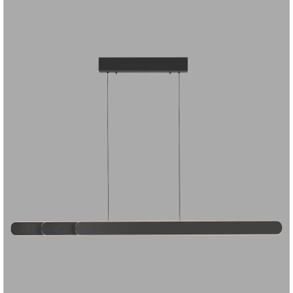 Schöner Wohnen 12577-18 - LED-hämardatav kaablil rippuv lühter ADRIANA ROUND 2xLED/24W/230V 2700/3000/3500/4000/5000K must