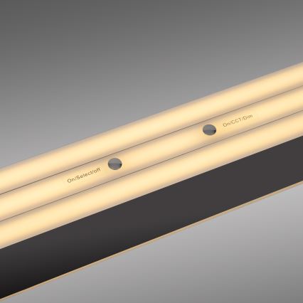 Schöner Wohnen 12577-18 - LED-hämardatav kaablil rippuv lühter ADRIANA ROUND 2xLED/24W/230V 2700/3000/3500/4000/5000K must