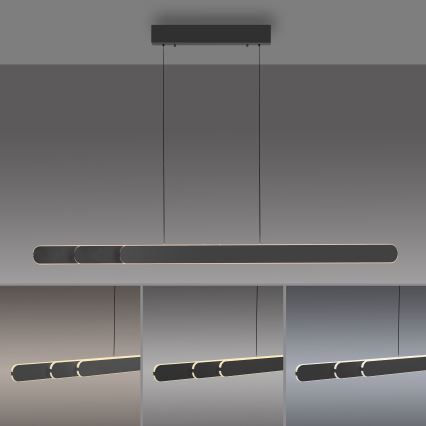 Schöner Wohnen 12577-18 - LED hämardatav rippvalgusti köisriputusega ADRIANA ROUND 2xLED/24W/230V 2700/3000/3500/4000/5000K 160 cm must