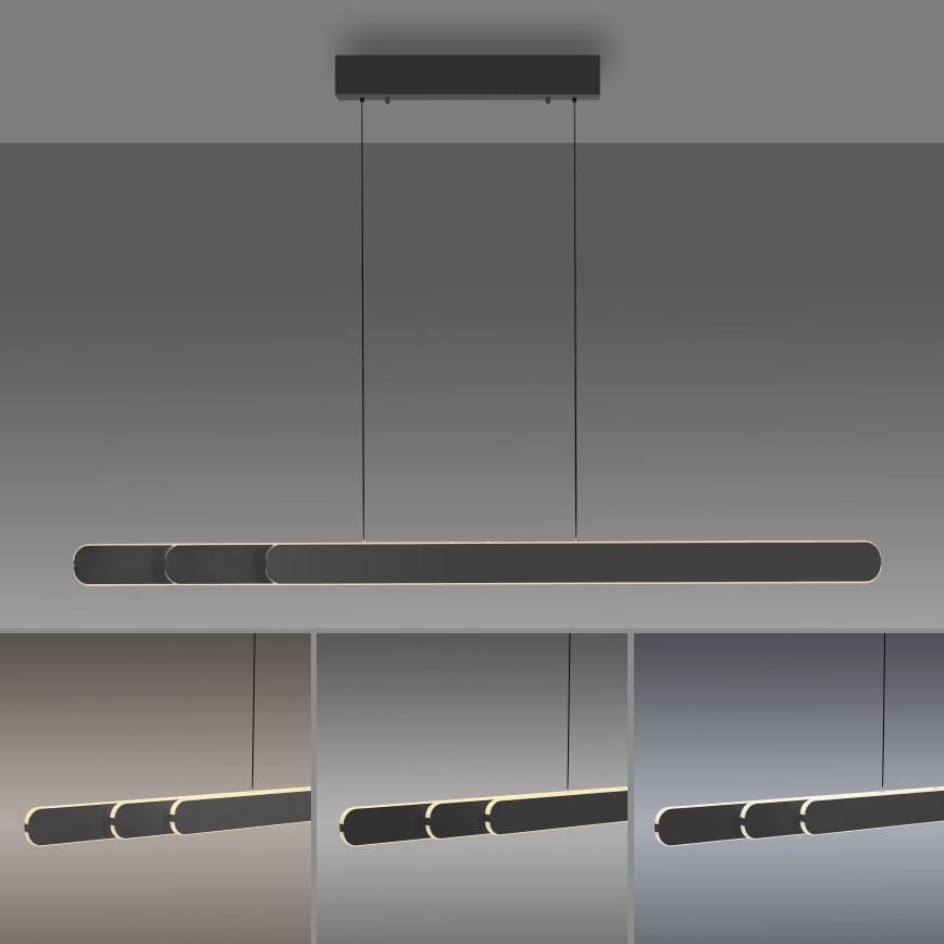 Schöner Wohnen 12577-18 - LED hämardatav rippvalgusti köisriputusega ADRIANA ROUND 2xLED/24W/230V 2700/3000/3500/4000/5000K 160 cm must