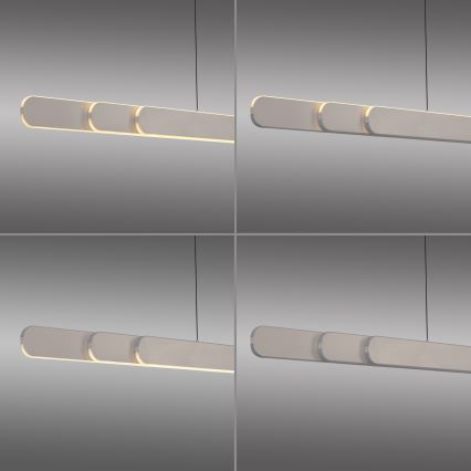 Schöner Wohnen 12577-39 - LED-hämardatav rippvalgusti kaabliga ADRIANA ROUND 2xLED/24W/230V 2700/3000/3500/4000/5000K hall