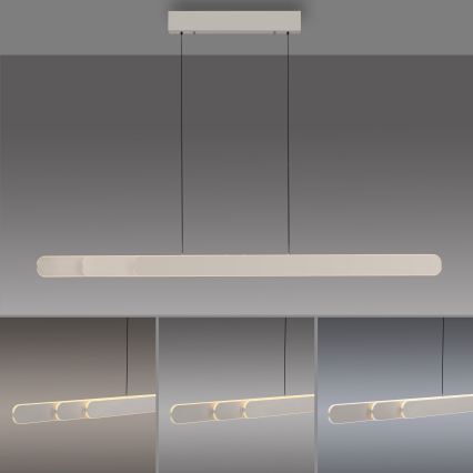 Schöner Wohnen 12577-39 - Hämardatav LED-lühter kaablil ADRIANA ROUND 2xLED/24W/230V 2700/3000/3500/4000/5000K 160 cm hall