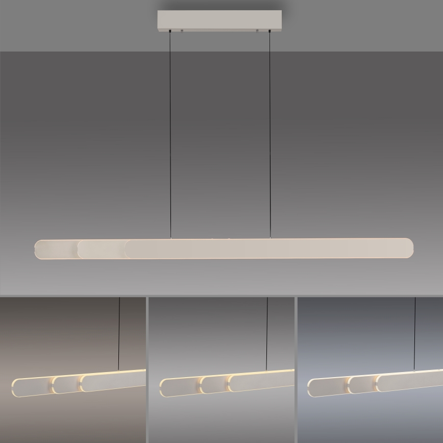 Schöner Wohnen 12577-39 - Hämardatav LED-lühter kaablil ADRIANA ROUND 2xLED/24W/230V 2700/3000/3500/4000/5000K 160 cm hall