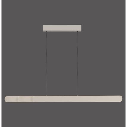 Schöner Wohnen 12577-39 - Hämardatav LED-lühter kaablil ADRIANA ROUND 2xLED/24W/230V 2700/3000/3500/4000/5000K 160 cm hall