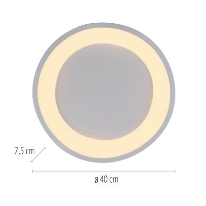 Schöner Wohnen 14233-16 - LED-hämardatav laelamp MONTA LED/21W/230V, läbimõõt 40 cm, valge