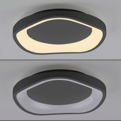 Schöner Wohnen 14233-18 - hämardatav LED-laelamp MONTA LED/21W/230V, läbimõõt 40 cm, must