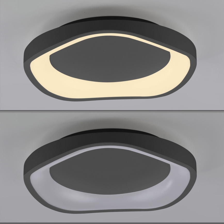 Schöner Wohnen 14233-18 - hämardatav LED-laelamp MONTA LED/21W/230V, läbimõõt 40 cm, must