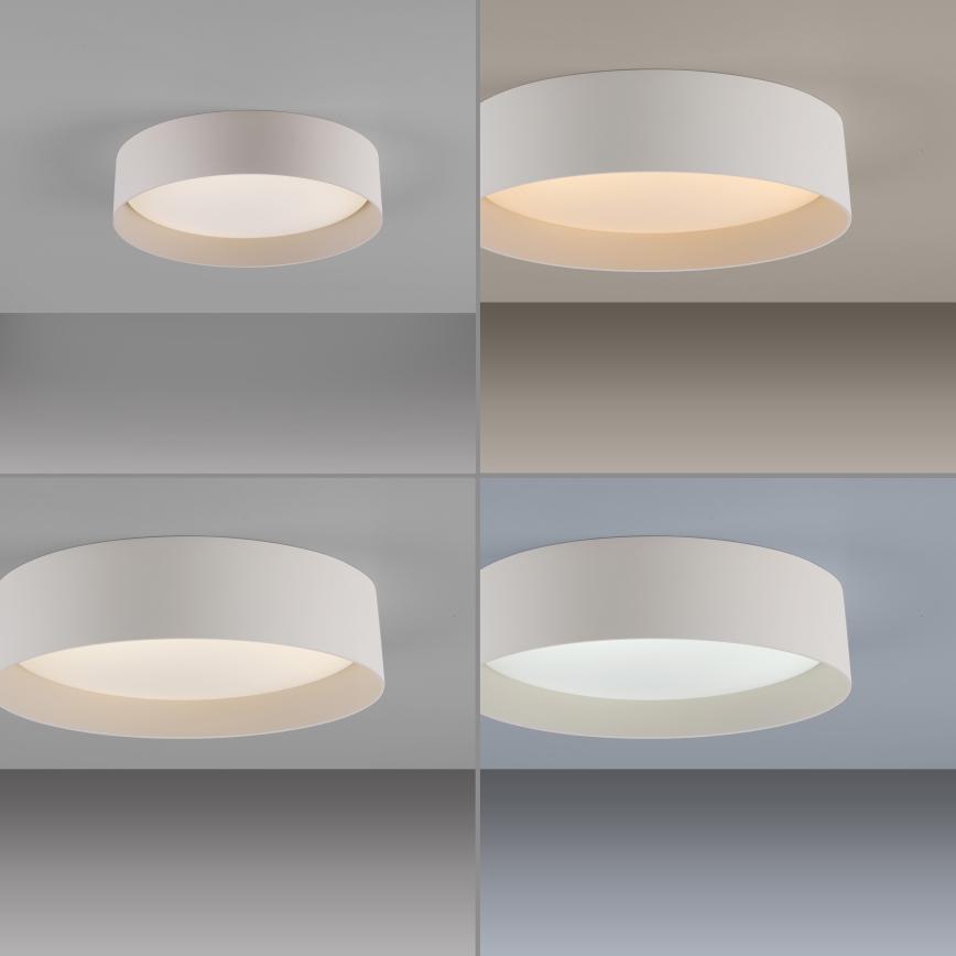 Schöner Wohnen 14593-39 - hämardatav LED-laelamp TAVOLI LED/10W/230V 2700-6500K läbimõõt 28,5 cm hall + kaugjuhtimispult