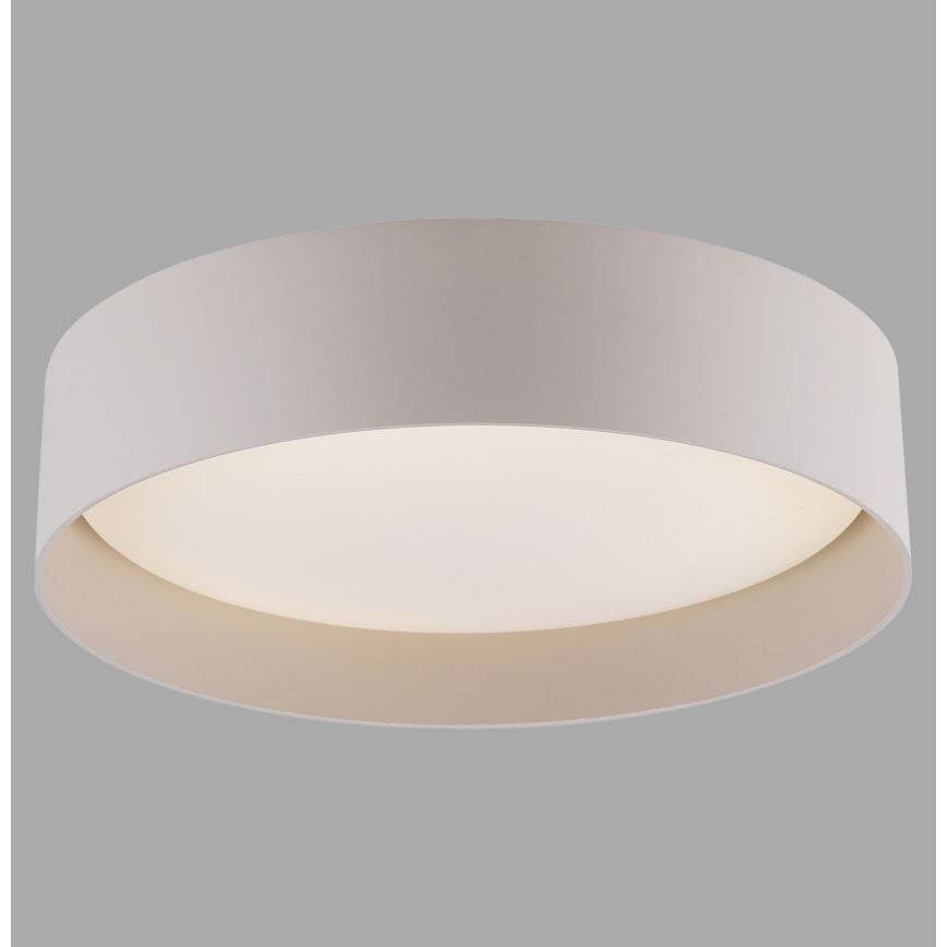 Schöner Wohnen 14593-39 - hämardatav LED-laelamp TAVOLI LED/10W/230V 2700-6500K läbimõõt 28,5 cm hall + kaugjuhtimispult