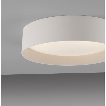Schöner Wohnen 14593-39 - hämardatav LED-laelamp TAVOLI LED/10W/230V 2700-6500K läbimõõt 28,5 cm hall + kaugjuhtimispult