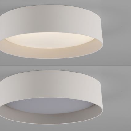 Schöner Wohnen 14593-39 - hämardatav LED-laelamp TAVOLI LED/10W/230V 2700-6500K läbimõõt 28,5 cm hall + kaugjuhtimispult