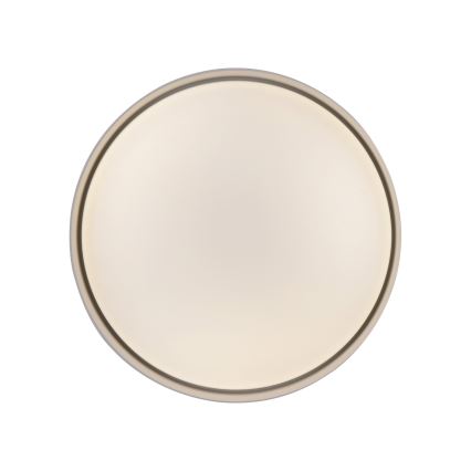 Schöner Wohnen 14593-39 - hämardatav LED-laelamp TAVOLI LED/10W/230V 2700-6500K läbimõõt 28,5 cm hall + kaugjuhtimispult