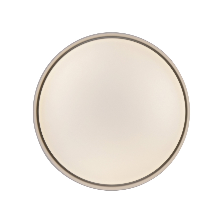 Schöner Wohnen 14593-39 - hämardatav LED-laelamp TAVOLI LED/10W/230V 2700-6500K läbimõõt 28,5 cm hall + kaugjuhtimispult