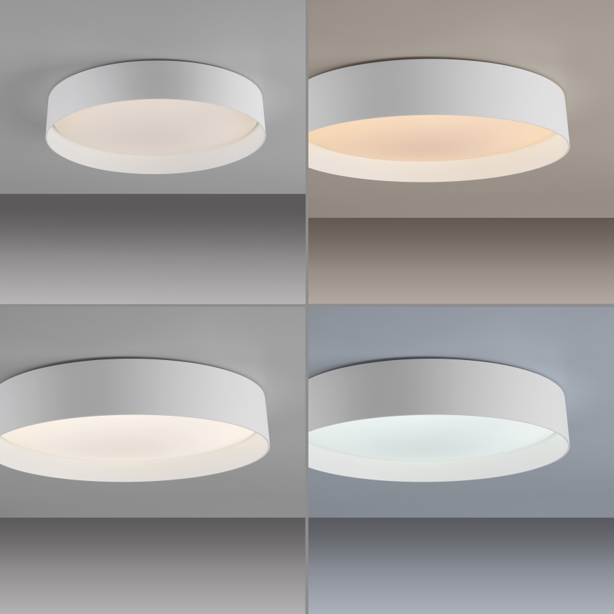 Schöner Wohnen 14594-16 - Hämardatav LED-laelamp TAVOLI, 20 W, 230 V, 2700–6500 K, läbimõõt 39 cm, valge + kaugjuhtimispult