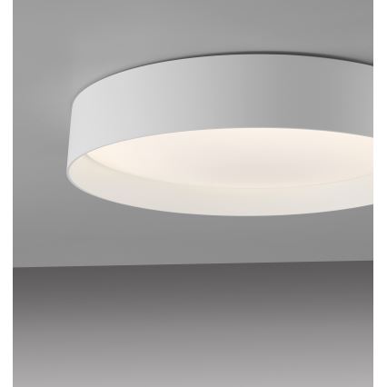Schöner Wohnen 14594-16 - Hämardatav LED-laelamp TAVOLI, 20 W, 230 V, 2700–6500 K, läbimõõt 39 cm, valge + kaugjuhtimispult