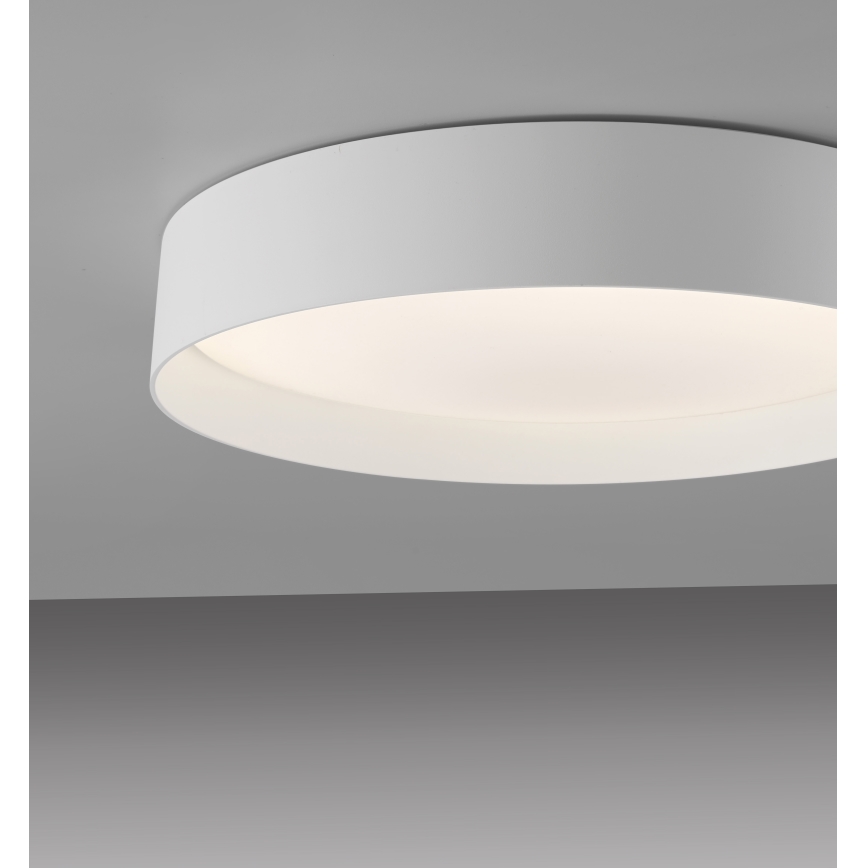 Schöner Wohnen 14594-16 - Hämardatav LED-laelamp TAVOLI, 20 W, 230 V, 2700–6500 K, läbimõõt 39 cm, valge + kaugjuhtimispult