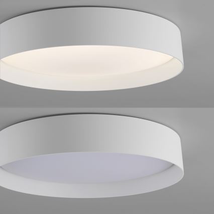 Schöner Wohnen 14594-16 - Hämardatav LED-laelamp TAVOLI, 20 W, 230 V, 2700–6500 K, läbimõõt 39 cm, valge + kaugjuhtimispult