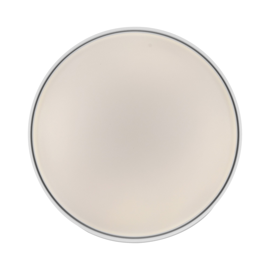 Schöner Wohnen 14594-16 - Hämardatav LED-laelamp TAVOLI, 20 W, 230 V, 2700–6500 K, läbimõõt 39 cm, valge + kaugjuhtimispult