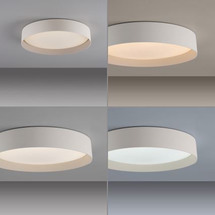 Schöner Wohnen 14594-39 - LED-hämardatav laelamp TAVOLI LED/20W/230V 2700-6500K läbimõõt 39 cm hall + kaugjuhtimispult