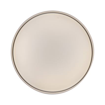 Schöner Wohnen 14594-39 - LED-hämardatav laelamp TAVOLI LED/20W/230V 2700-6500K läbimõõt 39 cm hall + kaugjuhtimispult