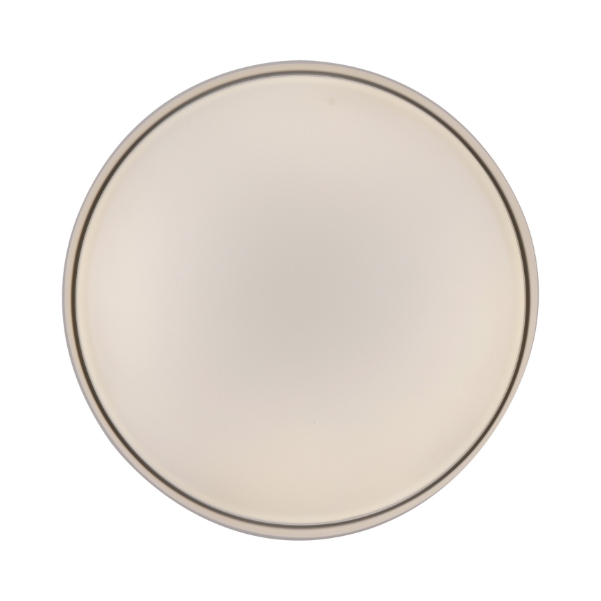 Schöner Wohnen 14594-39 - LED-hämardatav laelamp TAVOLI LED/20W/230V 2700-6500K läbimõõt 39 cm hall + kaugjuhtimispult