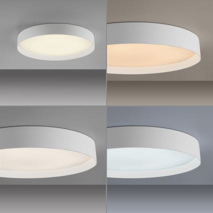 Schöner Wohnen 14595-16 - LED hämardatav laelamp TAVOLI LED/34W/230V 2700–6500K Ø 49 cm valge + kaugjuhtimispult