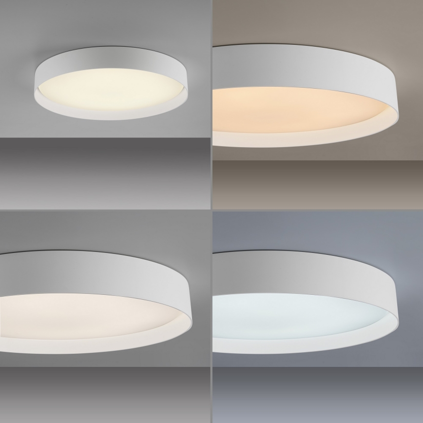 Schöner Wohnen 14595-16 - LED hämardatav laelamp TAVOLI LED/34W/230V 2700–6500K Ø 49 cm valge + kaugjuhtimispult