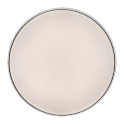 Schöner Wohnen 14595-16 - LED hämardatav laelamp TAVOLI LED/34W/230V 2700–6500K Ø 49 cm valge + kaugjuhtimispult